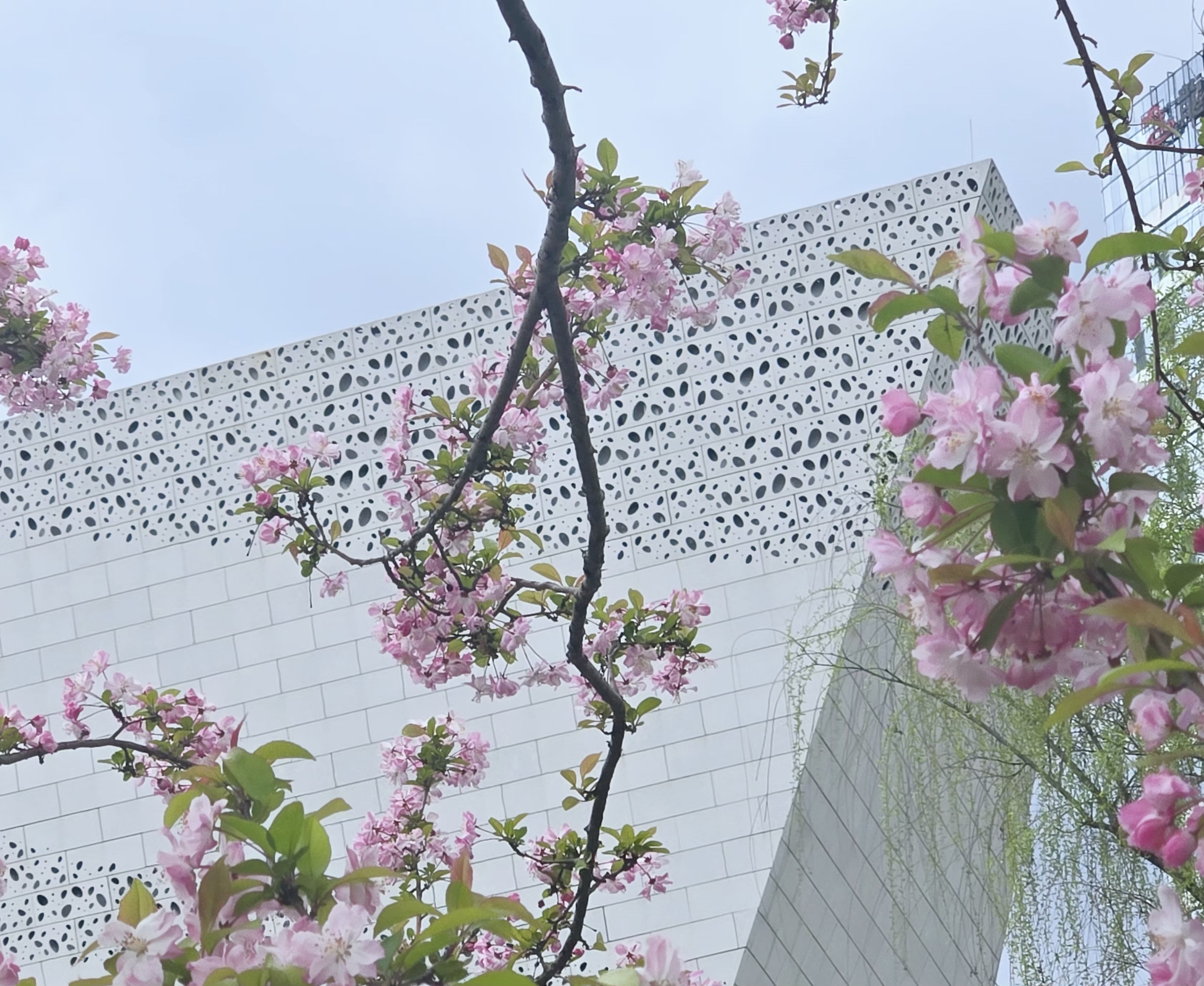 自然博物馆 出口