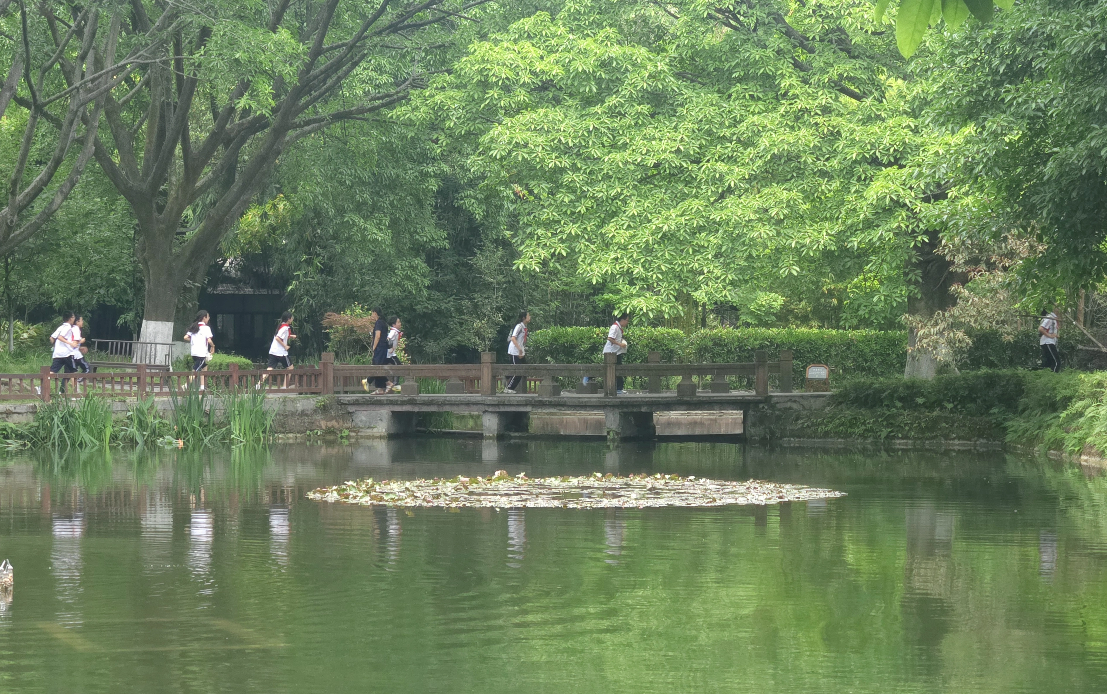 春游