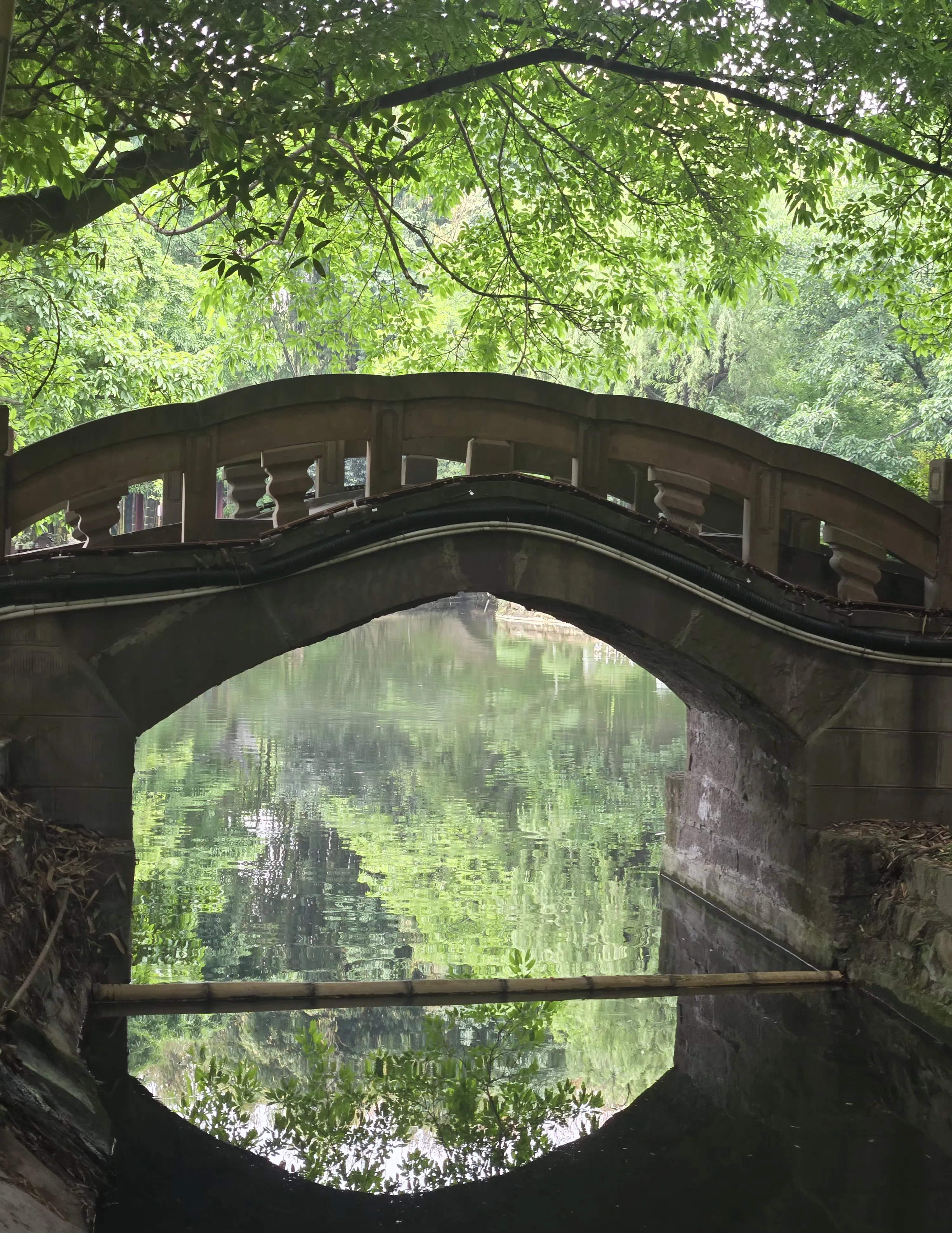 Bridge