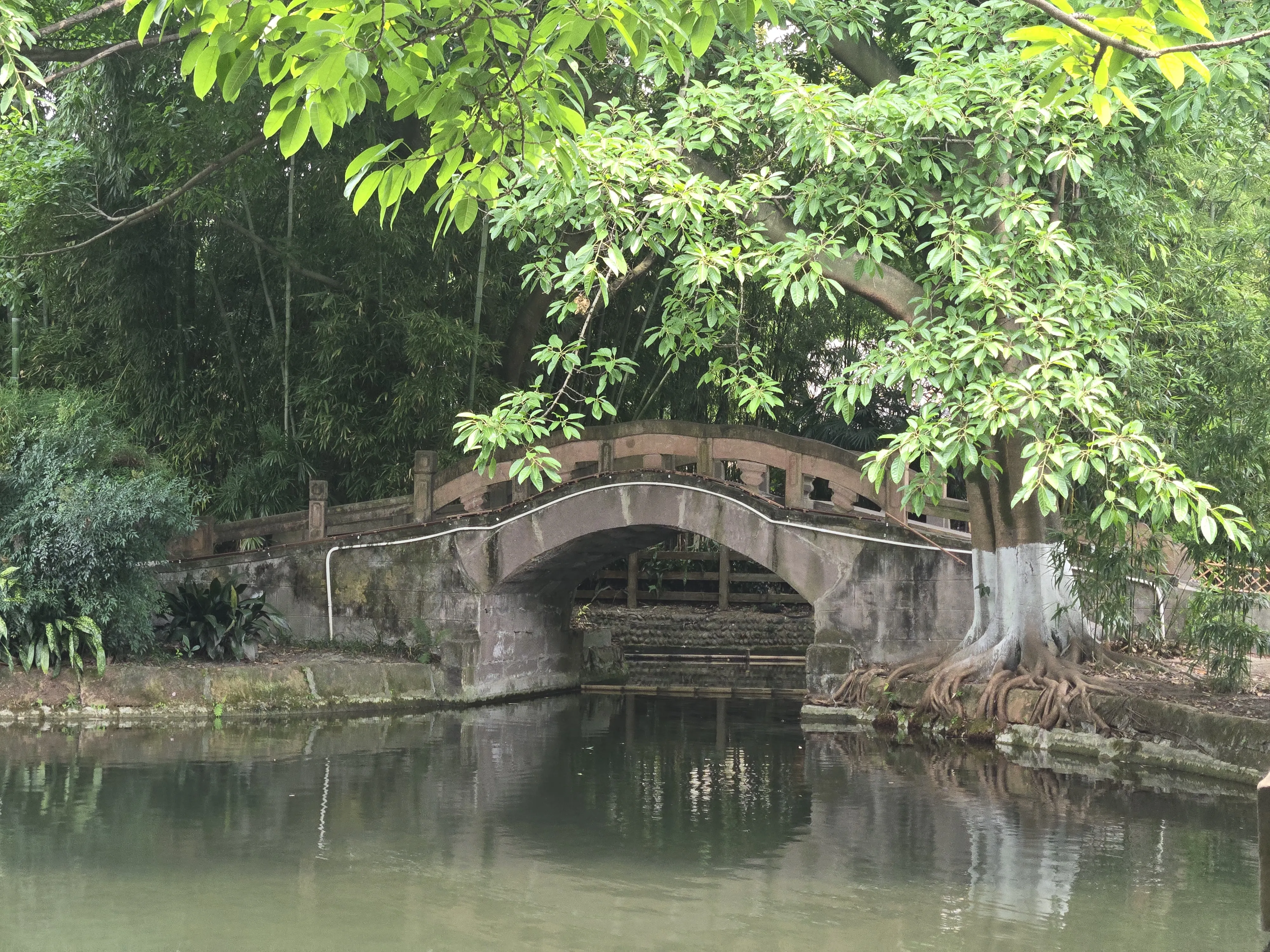 Bridge