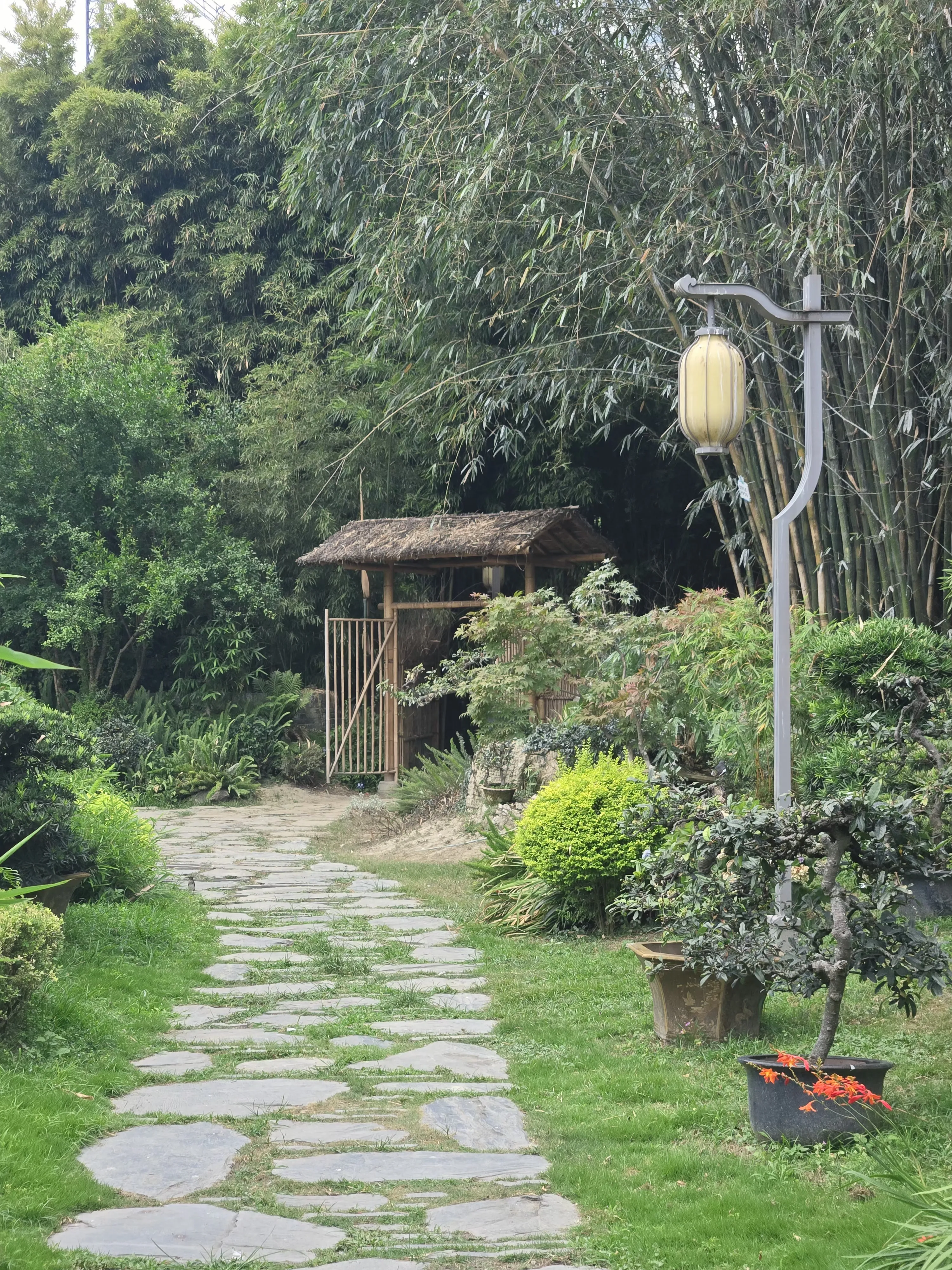 Path in the penjing garden